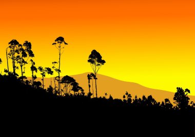 Tropical tree with mountain background clipart