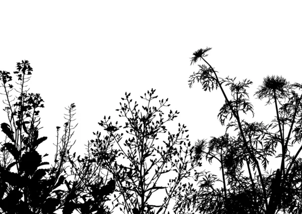Arrière-plan silhouette herbe — Image vectorielle