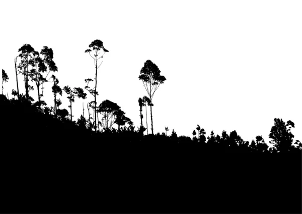 Tropiska träd med mountain bakgrund — Stock vektor