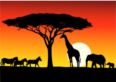 Safari background clipart