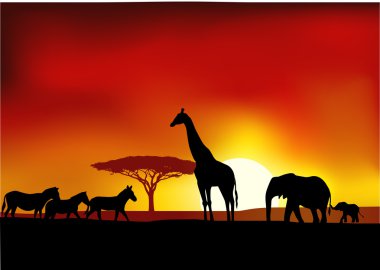 Safari background clipart