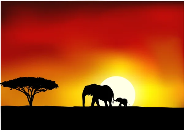 África puesta de sol — Archivo Imágenes Vectoriales