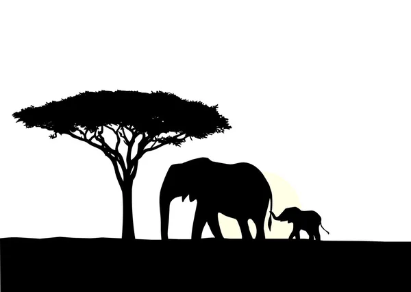 Elefante africano con silueta de bebé — Vector de stock