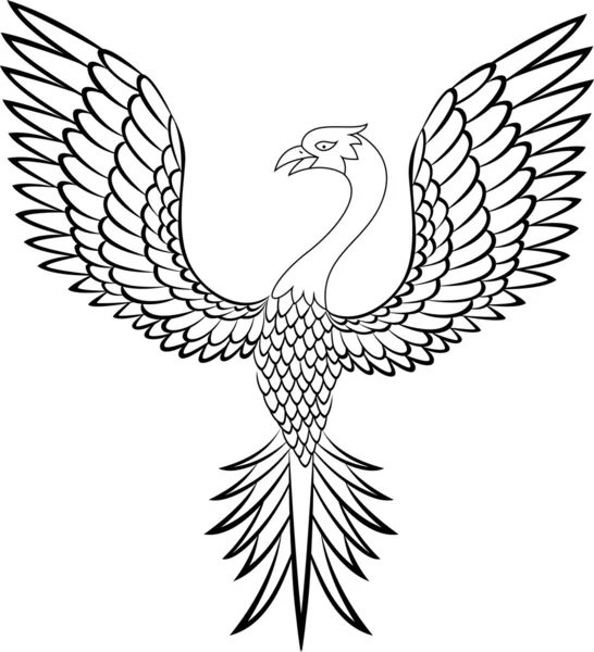 Phoenix pássaro tatuagem — Vetor de Stock