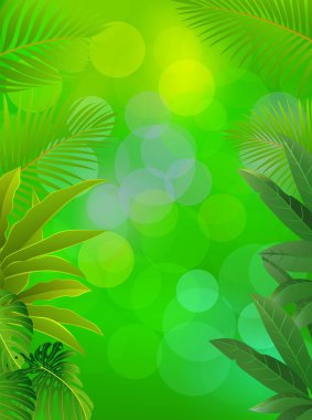 Tropical forest background clipart