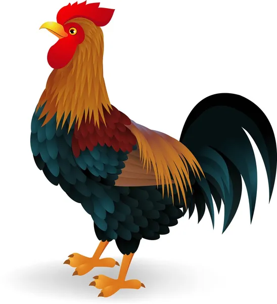 Rooster cartoon — Stock Vector