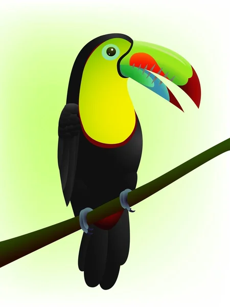 Toucan oiseau dessin animé — Image vectorielle