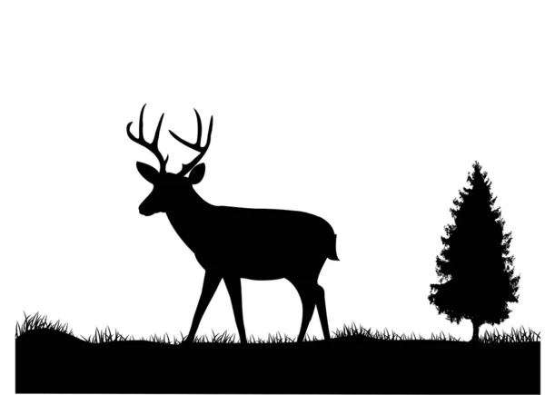 Deer silhouette — Stock Vector
