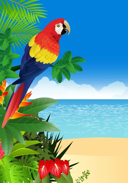 Papoušek s tropickou pláž pozadím — Stockový vektor