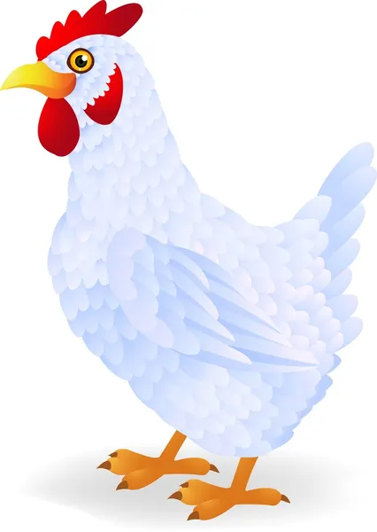Caricatura de gallina blanca — Vector de stock