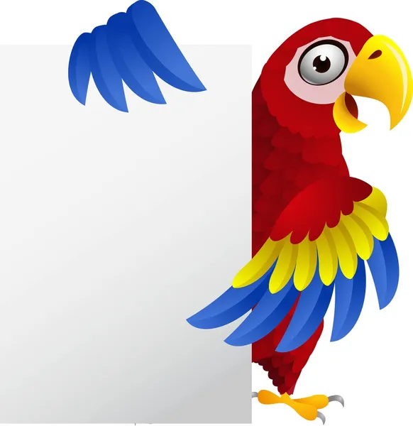金刚鹦鹉与空白符号 — 图库矢量图片