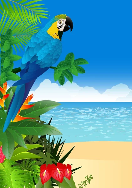 金刚鹦鹉鸟与热带海滩背景 — 图库矢量图片