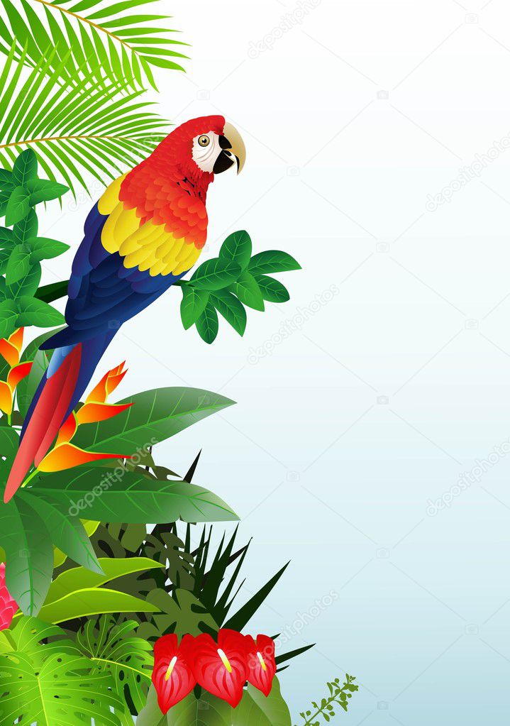 Macaw with tropical beach background