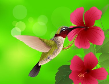 Hummingbird with red flower clipart