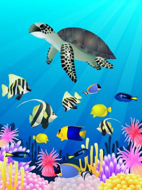 Sea Life Background clipart