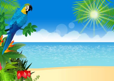 Macaw bird with tropical beach background clipart