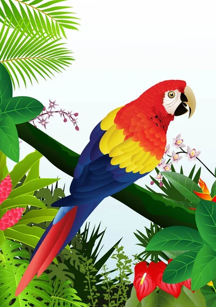 在热带森林中的金刚鹦鹉鸟 — 图库矢量图片