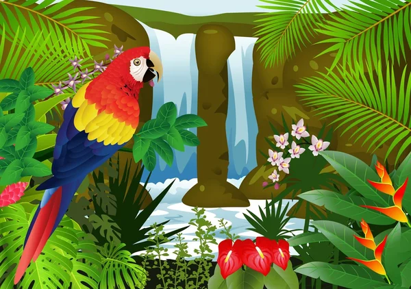 金刚鹦鹉鸟与瀑布背景 — 图库矢量图片
