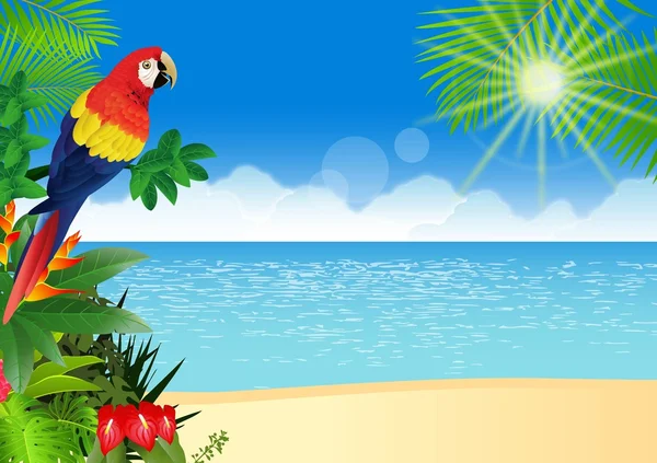 金刚鹦鹉与热带海滩背景 — 图库矢量图片