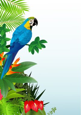 Macaw bird in the tropical forest clipart