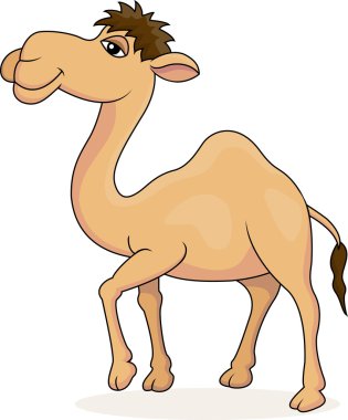 Camel cartoon clipart