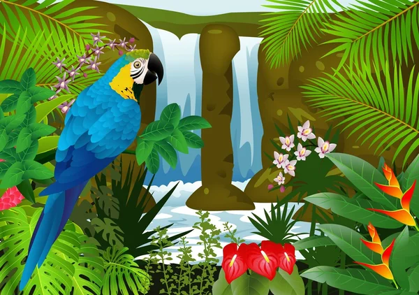 金刚鹦鹉鸟与瀑布背景 — 图库矢量图片