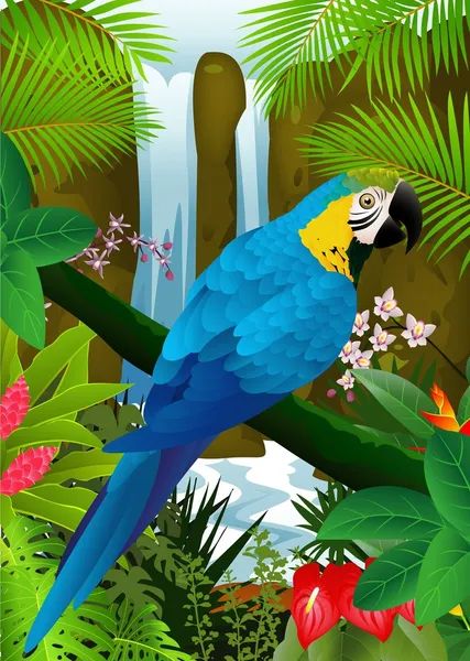 Macaw bird with waterfall background — Stock Vector