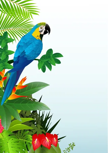 Papoušek pták v tropickém lese — Stockový vektor