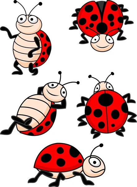 stock vector Ladybug collection