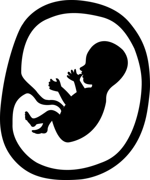 stock vector Fetus in a womb