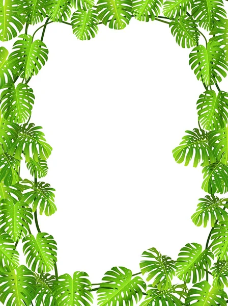 热带树叶背景 — 图库矢量图片