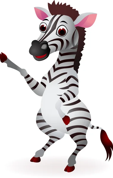 Desenhos animados Zebra —  Vetores de Stock