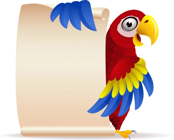 Pássaro de arara com papel de rolagem — Vetor de Stock