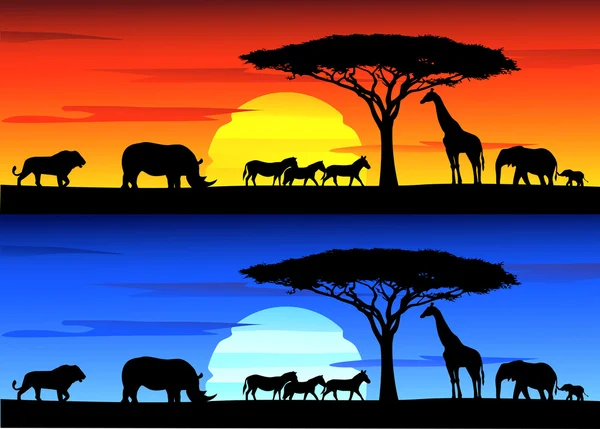 Belo pôr do sol fundo sobre a vida selvagem da África — Vetor de Stock