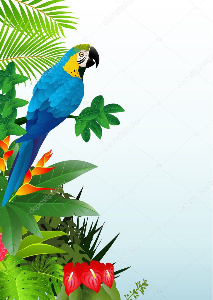 Macaw bird in the tropical forest