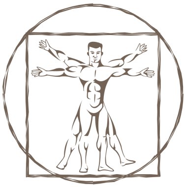 Vitruvian man clipart