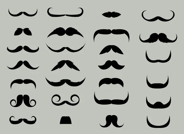 Moustache Set — Stock Vector