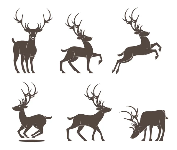 Set de ciervos vector — Archivo Imágenes Vectoriales