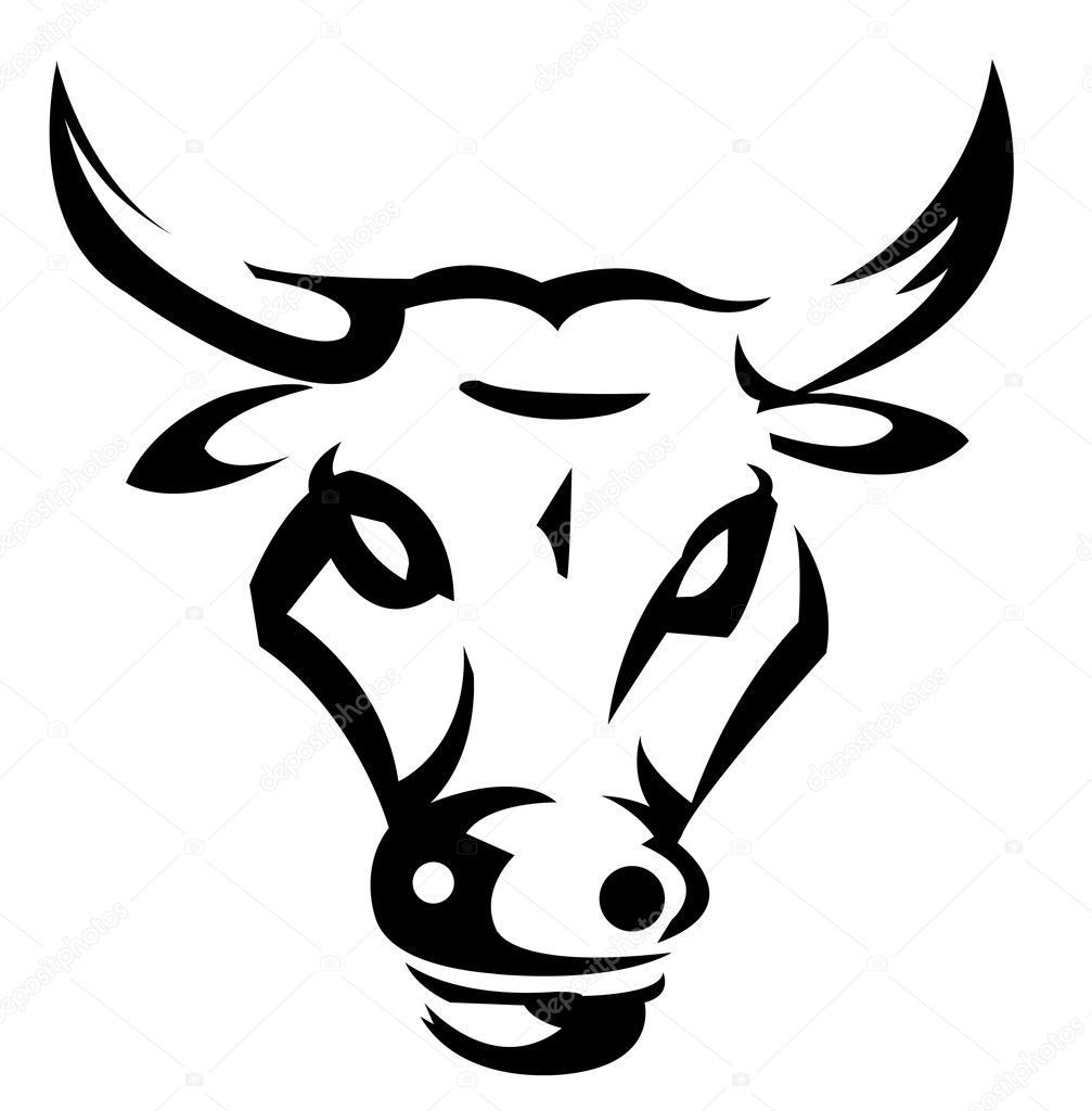 Bull Illustration