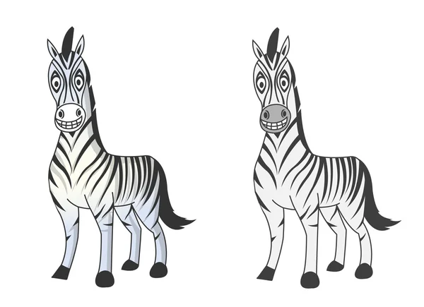 Vettore zebra — Vettoriale Stock