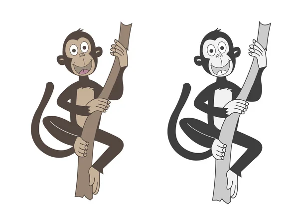 Monkey — Stock Vector