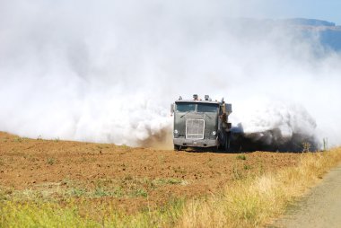 yayılmış kireç