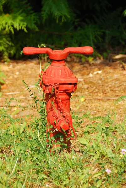 Kleiner Hydrant — Stockfoto