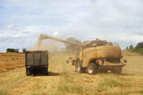 Buğday Birleştir — Stok fotoğraf