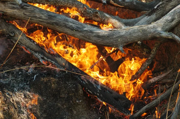 Природні покриття вогню — стокове фото