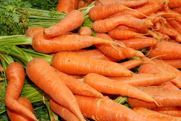 stock image Carrots