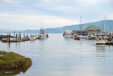 Nehalem Bay clipart