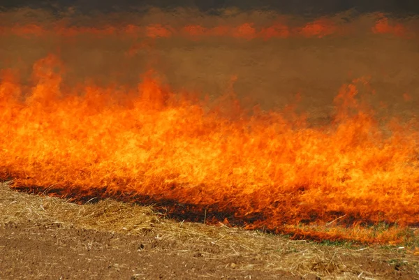 Grass Fire — Stock Photo, Image