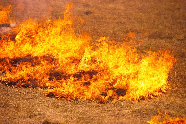 Oat Stubble Fire — Stock Photo, Image