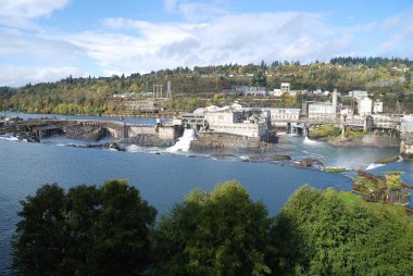 Willamette Falls clipart